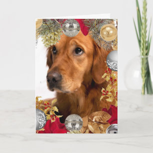 Carte Golden Retriever Chien avec Noël Wreath Holiday