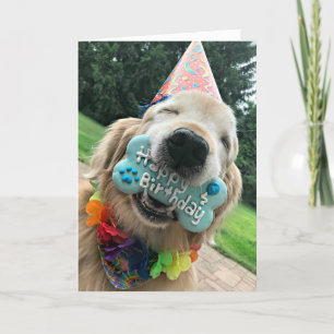 Carte Golden Retriever Chien Avec Treat Joyeux Anniversa