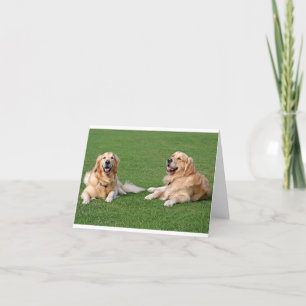Carte Golden Retriever Chien Chien Chien Chien Chien Bla