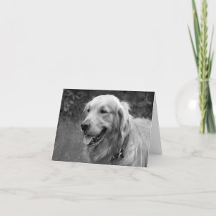 Carte Golden Retriever Chien Chien Chien Chien Chien Bla