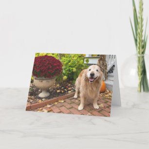 Carte Golden Retriever Chien et Automne Décor Thanksgivi