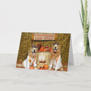 Carte Golden Retriever Citrouille Stand Halloween