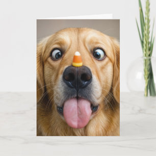 Carte Golden Retriever d'anniversaire avec maïs sucré