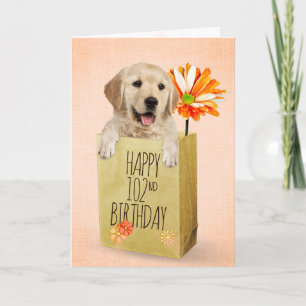 Carte Golden Retriever dans le 102e sac d'anniversaire