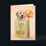 Carte Golden Retriever dans le sac d'anniversaire 18th B<br><div class="desc">Jolie récupératrice dorée dans un sac en papier brun générique avec marguerite orange pour 18ème anniversaire. Le texte/l'âge peut être modifié.</div>