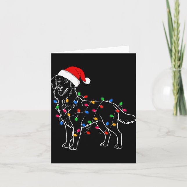 Carte Golden Retriever Dog Christmas Lights Santa Xmas D (Devant)