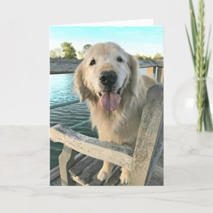 Carte Golden Retriever Dog on a Dock Thinking of You