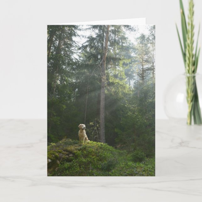 Carte Golden Retriever Dog | Pine Woodland (Devant)