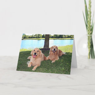 Carte Golden Retriever Dogs in Park ont un Joyeux Jour