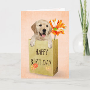 Carte Golden Retriever en sac d'anniversaire