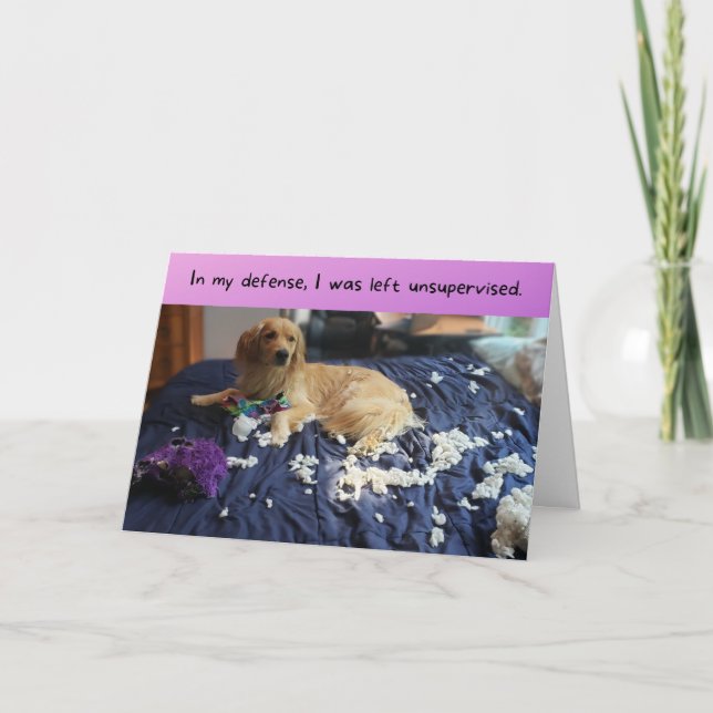 Carte Golden Retriever fait un malin drôle d'anniversair (Devant)