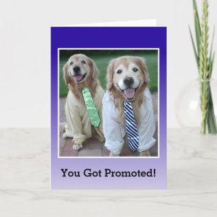 Carte Golden Retriever Félicitations pour votre promotio