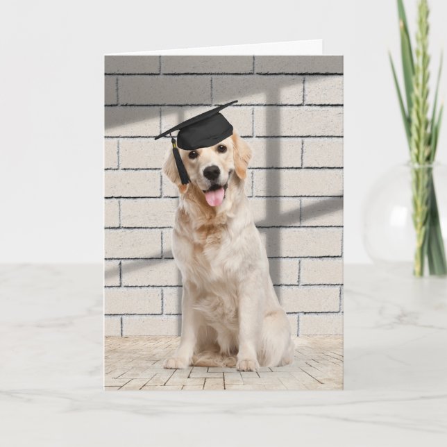 Carte Golden Retriever Graduate sur brique (Devant)