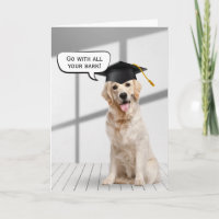 Golden Retriever Graduate sur le bois