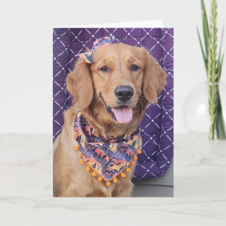Carte Golden Retriever Halloween greeting card