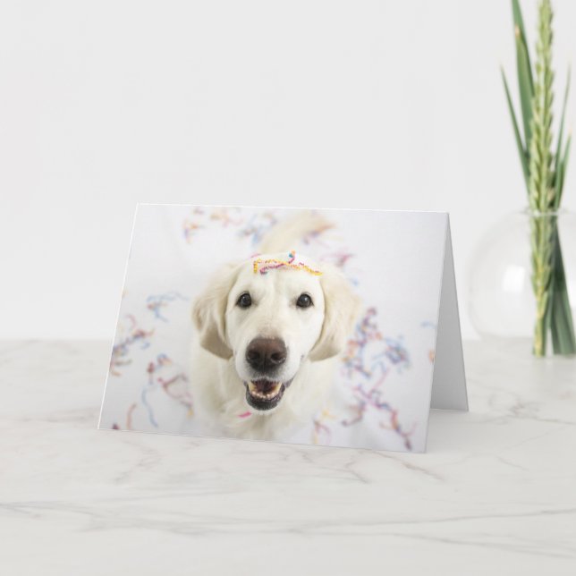 Carte Golden Retriever Happy Birthday Greeting Card (Devant)