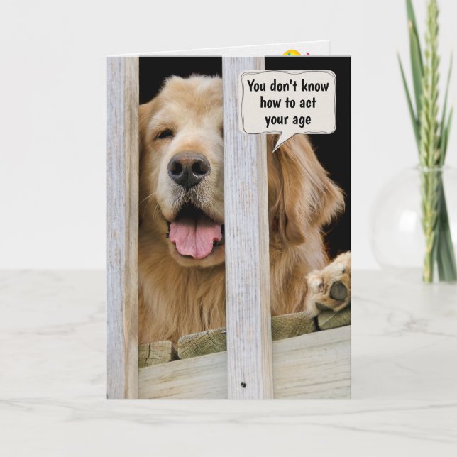Carte Golden Retriever Humour d'anniversaire (Devant)