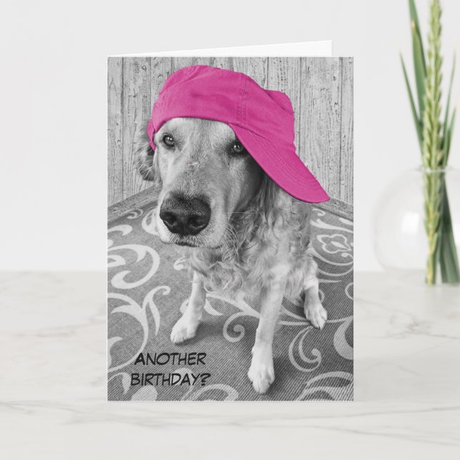 Carte Golden Retriever Humour d'anniversaire (Devant)