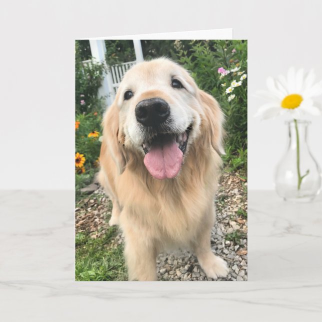 Carte Golden Retriever in Flower Garden Penser à vous (Petite plante)