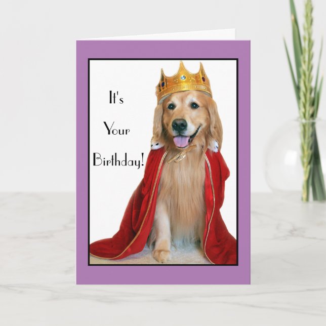 Carte Golden Retriever in King Costume Anniversaire (Devant)