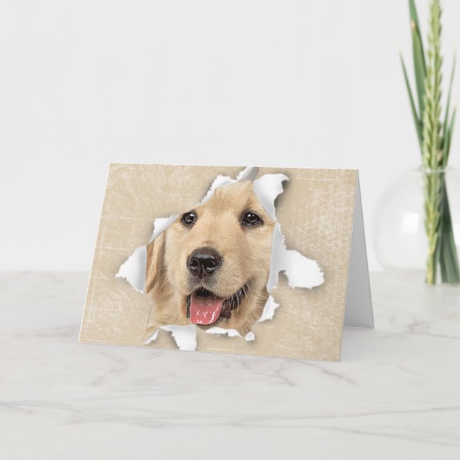 Carte Golden Retriever in Paper Hotte Hello (Devant)