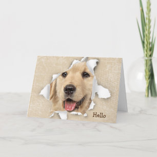 Carte Golden Retriever in Paper Hotte Hello Card