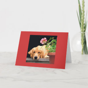 Carte Golden Retriever Love Begin