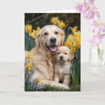 Golden Retriever Mom Mother’s Day Love