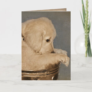 Carte Golden Retriever pense à toi