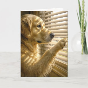 Carte Golden Retriever Pense à Vous