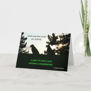 Carte Golden Retriever Pet Sympathie