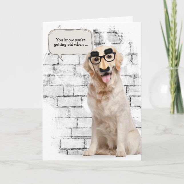 Carte Golden Retriever pour avoir un vieux anniversaire (Devant)