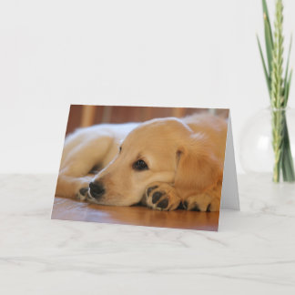 Carte Golden Retriever Puppy Blank à l'intérieur