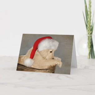 Carte Golden Retriever Puppy Christmas