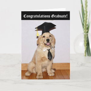 Carte Golden Retriever Puppy Graduation