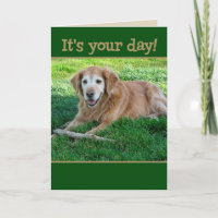 Golden Retriever Récupérer des bonbons pour la Fêt
