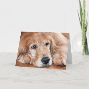 Carte golden retriever remets-toi vite