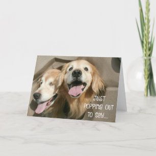 Carte Golden Retriever se précipiter pour dire que vous 
