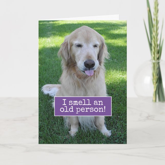 Carte Golden Retriever Sent Une Vieille Personne Anniver (Devant)