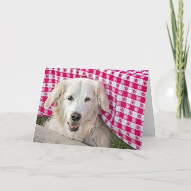 Carte Golden Retriever sous nappe pour anniversaire (Devant)