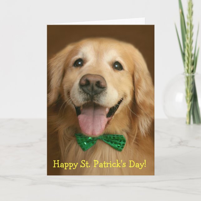 Carte Golden Retriever St. Patrick's Day (Devant)