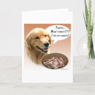 Carte Golden retriever Turquie