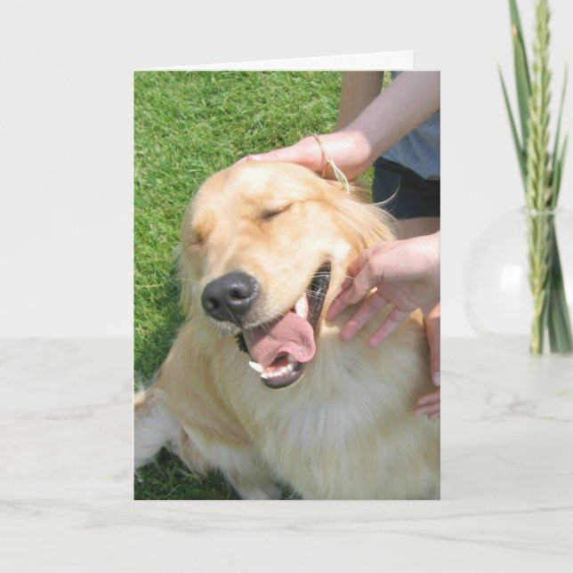 Carte Golden Retriever Vous L'Avez Fait Félicitations En (Devant)