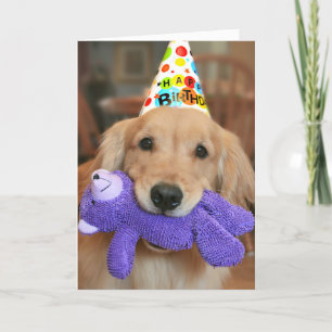 Carte Golden Retriever with Happy Birthday Casquette and