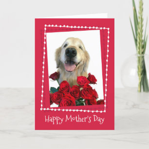 Carte Golden Retriever with Red Roses Fête des mères