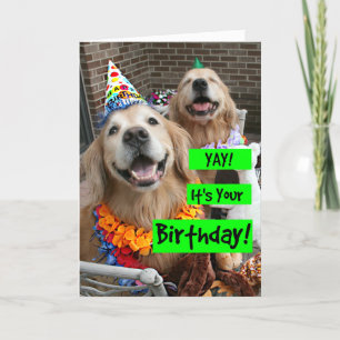 Carte Golden Retriever Yay C'est ton anniversaire