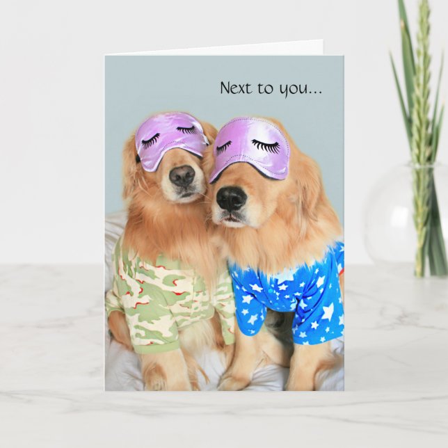 Carte Golden Retrievers en Pyjama Joyeux Anniversaire  (Devant)