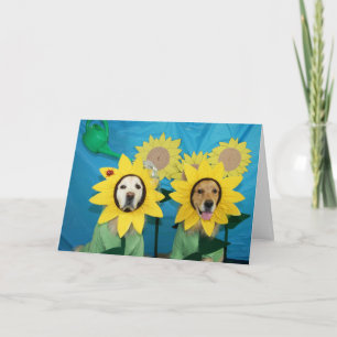 Carte Golden Sunflower Félicitations