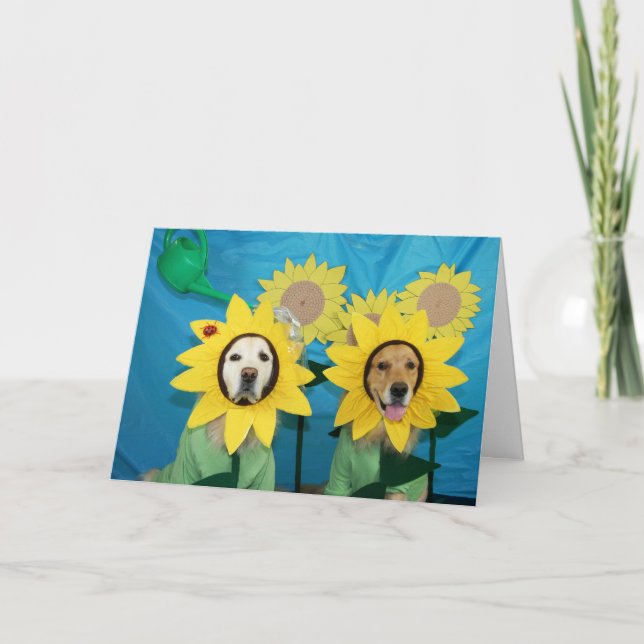 Carte Golden Sunflower Félicitations (Devant)