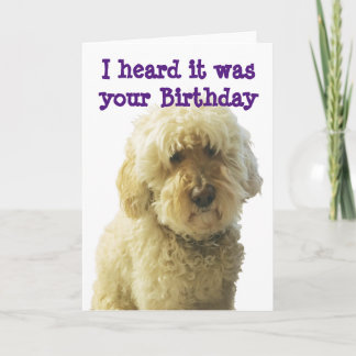 Carte GoldenDoodle, Anniversaire Doodle